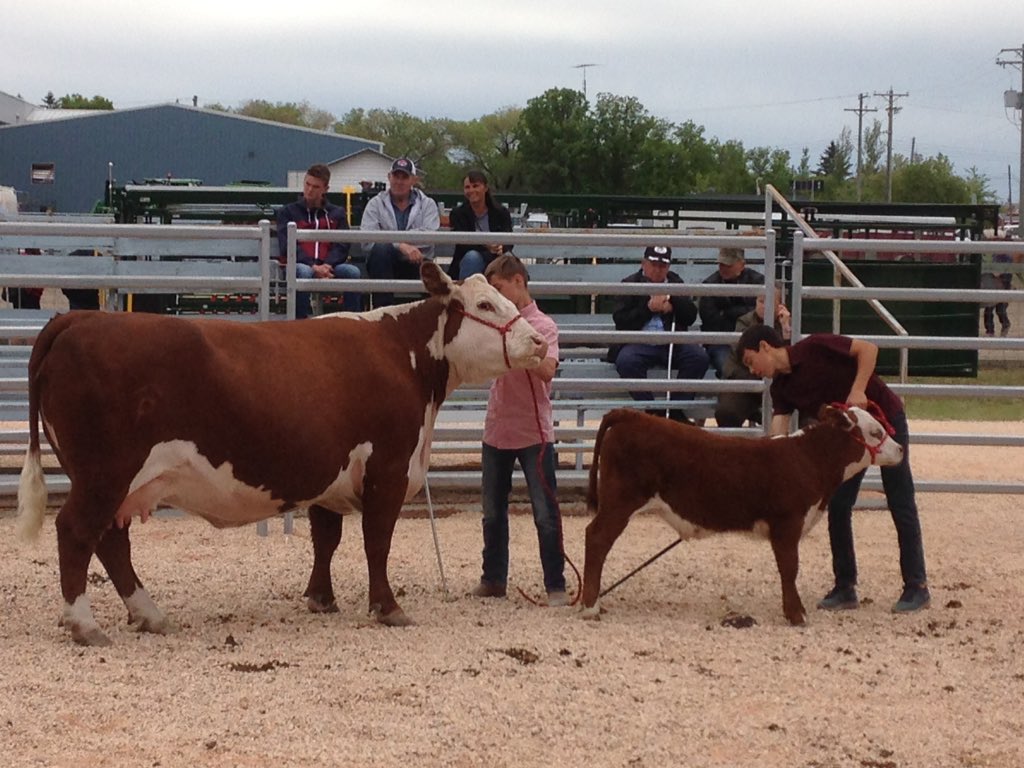 FGP Cattle tweet media