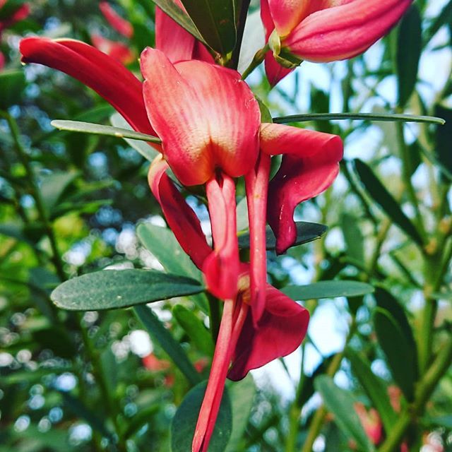 Winter impressions🌞 wonderful good morning from our side of the 🌏 instagram.com/p/By1Ixw_jc3t/