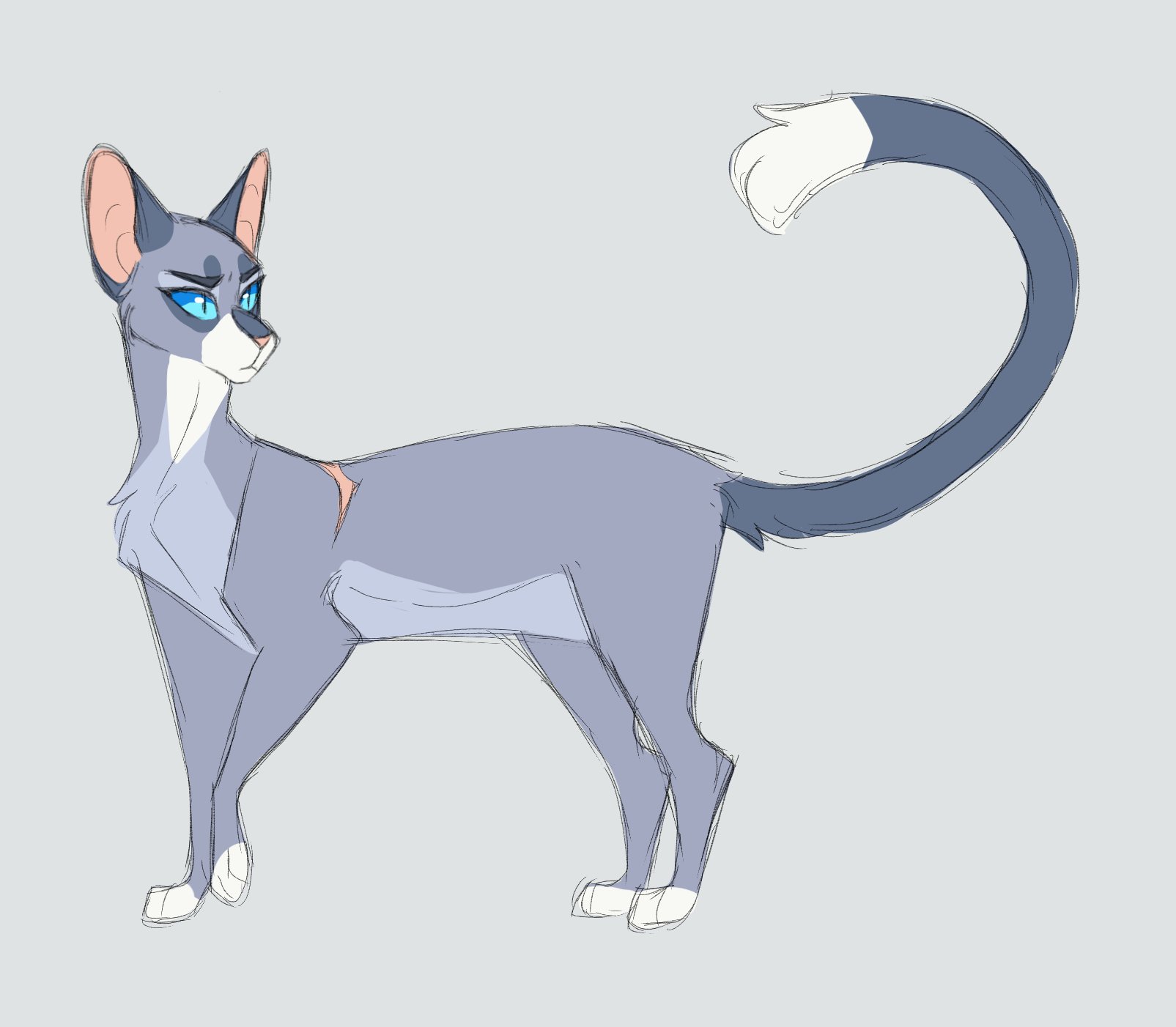 Коты Воители songsteps кот