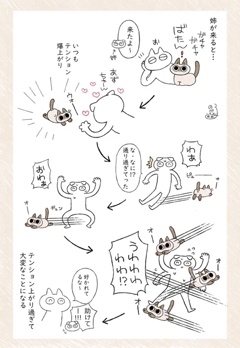 喜びの表現が激しすぎるあずきさん #ねこ日記 