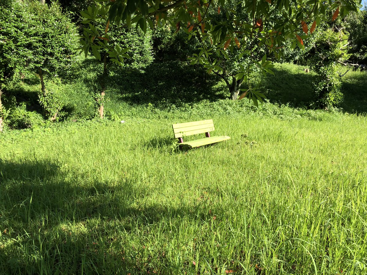 tele_worker_net's tweet photo. 週末の散歩で子供と一緒に行った公園。緑に囲まれてました。

#公園 #ベンチ #緑 #在宅勤務 #park #green #snapmart https://t.co/OTSzUnL0kZ