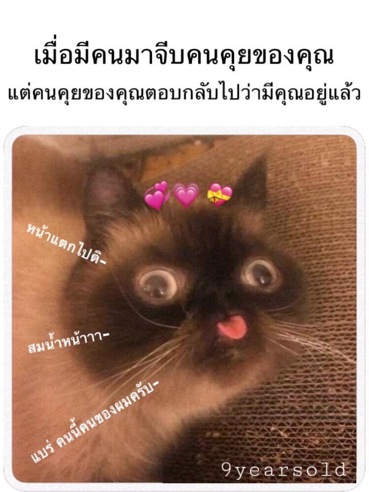 mbny🫧 tweet media