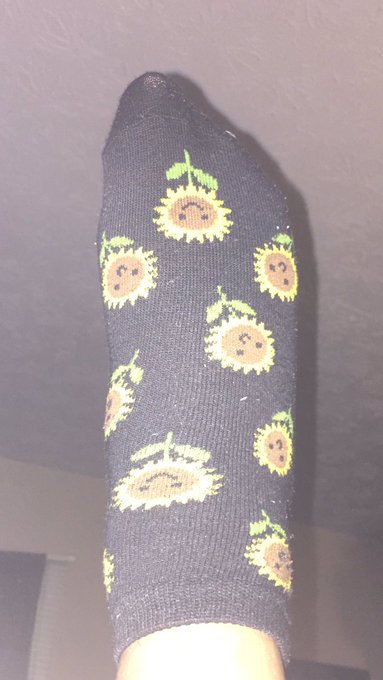 The cutest, summer ready #socks ever #sockcam #sockgame #feet #kink https://t.co/qYF2JmpDiN<a href="/tag/socks"class="tags">#socks</a><a href="/tag/sockcam"class="tags">#sockcam</a><a href="/tag/feet"class="tags"><span>#feet</span></a><a href="/tag/kink"class="tags"><span>#kink</span></a><a href="/tag/sockgame"class="tags"><span>#sockgame</span></a>