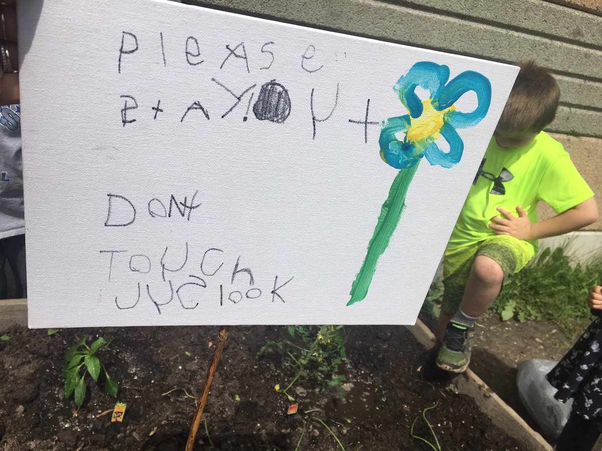 Amanda White (@amanda_m_white) on Twitter photo We planned, we researched and we planted! Our Kinder students loved planting their veggie garden. They even set some rules for other students to keep their plants safe! #sccdsb #stmattskinders <a href="/StMatthewCS/">St Matthew</a> #outdoorlearning We planned, we researched and we planted! Our Kinder students loved planting their veggie garden. They even set some rules for other students to keep their plants safe! #sccdsb #stmattskinders <a href="/StMatthewCS/">St Matthew</a> #outdoorlearning