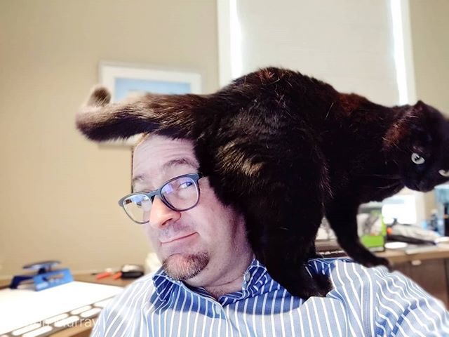 donaldm314's tweet photo. I worked from home today, and had quite a few video calls. Luckily, Angel didn't participate in any of them.
#yyc #photographer #yycphotography #photography #cats #catsofinstagram #catsonthings #catsonshoulders https://t.co/YcNtVnrk47 https://t.co/9yr3Old2Ka