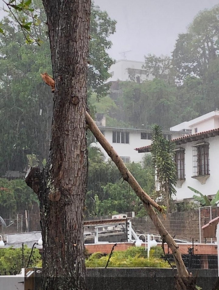 AlepNali's tweet photo. Este árbol se rompió con las lluvias de esta tarde. La calle es muy transitada y hubo un accidente.
¿Qué esperan @AlcaldiaBaruta @darwingonzalezp @alessandrasb @ASANCHEZ17 para ayudarnos y evitar más desastres?
Urge poda de todos nuestros árboles. 
Ni hablar de la Av. Principal. https://t.co/xRBFLbfOBA
