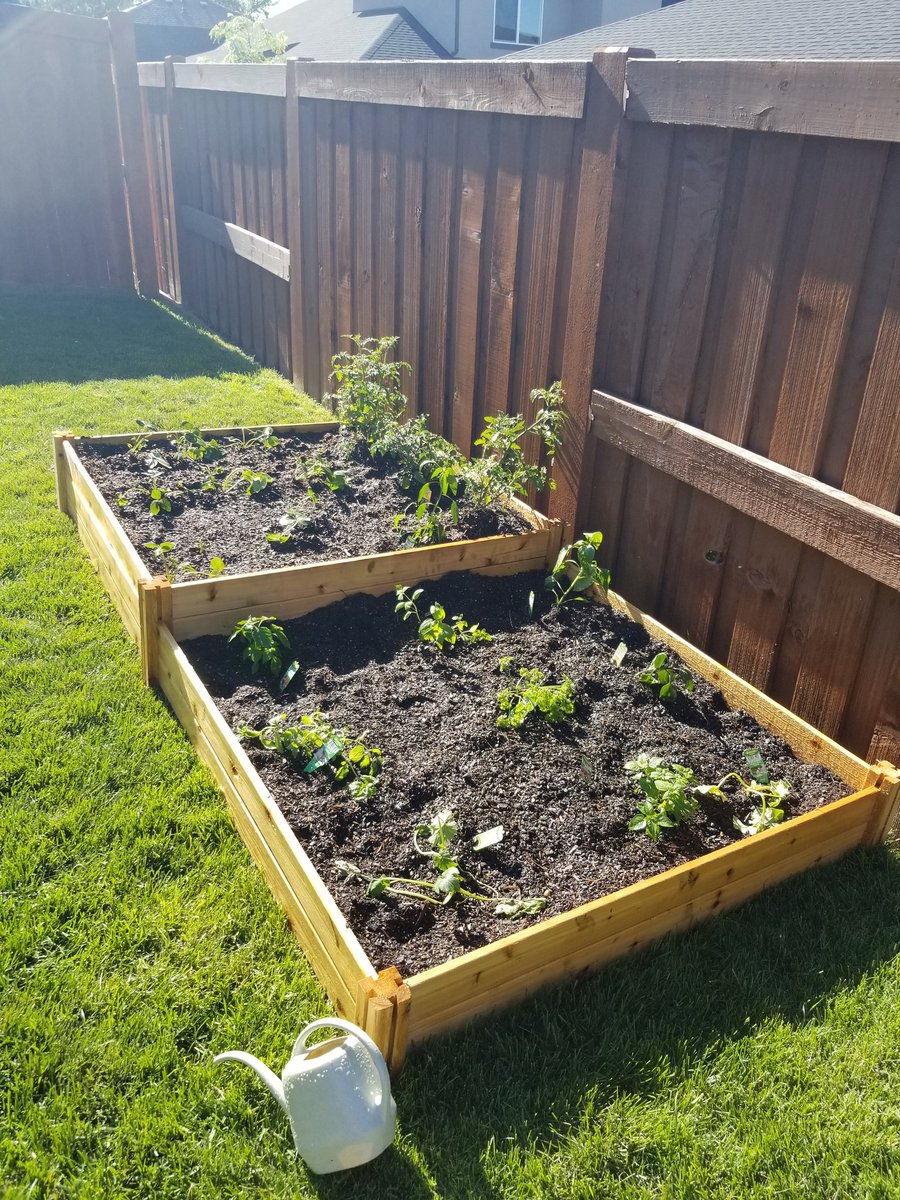 Mandylschu1's tweet photo. Finally got my garden planted! 🌿

#gardening #plants https://t.co/S3Xyo4Pvjf