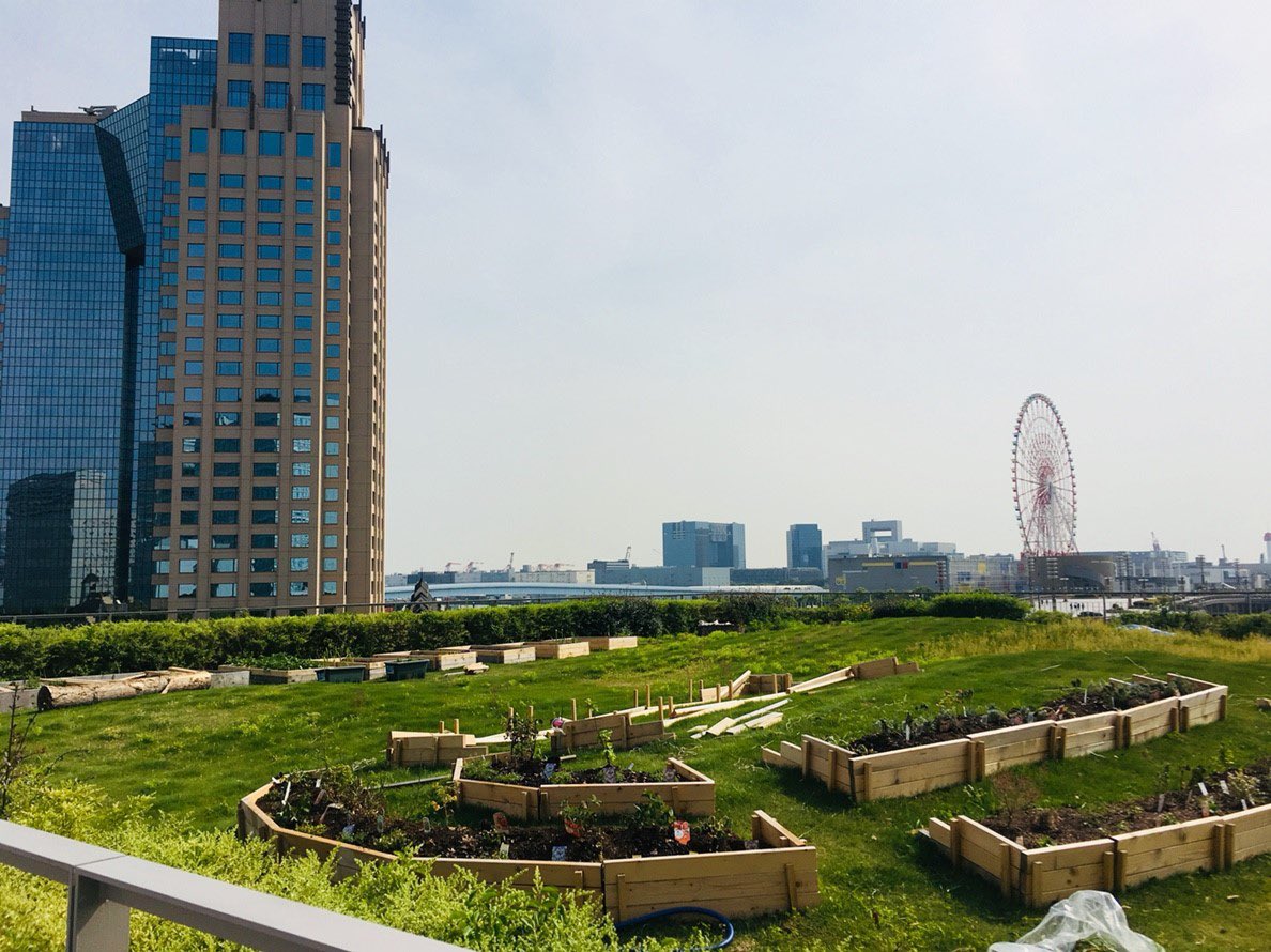 本日から毎週火曜日11：00〜12：45まで、武蔵野大学有明キャンパス3号館(カレッジショップがある建物)屋上をオープンします。誰もがゆったりと過ごすことができる場所になることを目指しています！ぜひ一度、訪れてみてはいかがですか？