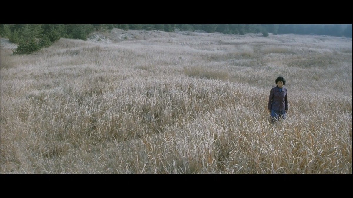 Mother - Bong Joon-ho (2009)