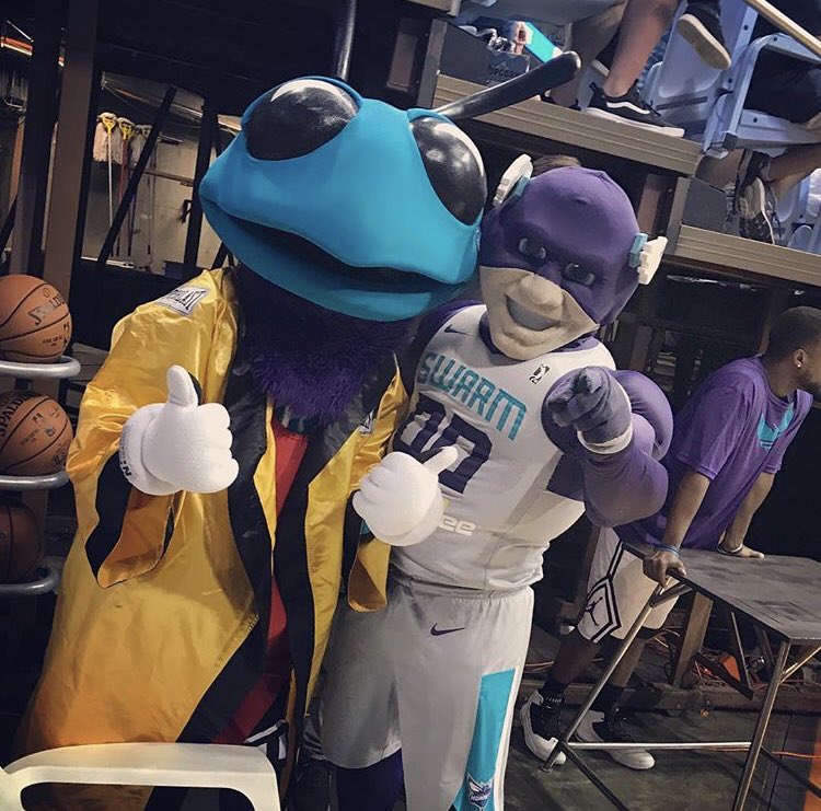 greensboro swarm mascot