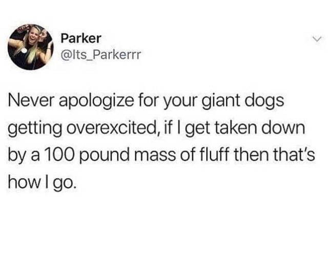 womenshumor's tweet photo. A beautiful way to go down. https://t.co/owtu9dpzT6