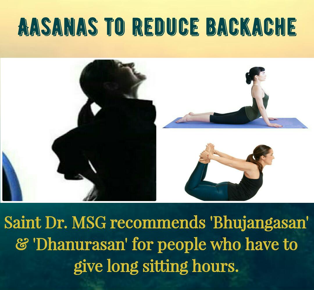 #FitnessTipsByStRamRahim
Saint Gurmeet Ram Rahim Singh ji insan recommends 'Bhujangasan' n 'Dhanurasan'for people who have to give long sitting hours