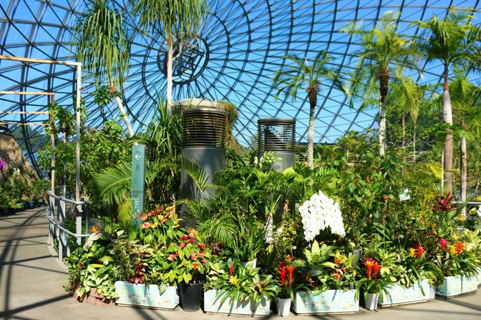 JapanHoppers's tweet photo. Tottori Hanakairo Flower Park
Enjoy the largest flower park in Japan!

https://t.co/UpOA2bzTlr https://t.co/RyIG1Q3ZaI