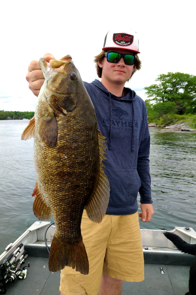 Canuck bassin jr tweet media