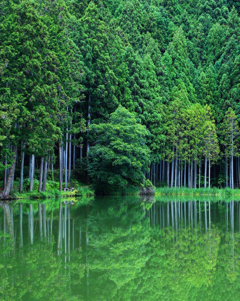 京都もよう Kyoto Moyou Pa Twitter 奈良県 宇陀市 龍王ヶ淵 前から行きたかったところ 無風の薄曇りの日を待ってました 19 06 18撮影 龍王ヶ淵 龍王ヶ渕 龍王が淵 奈良県 奈良 宇陀 宇陀市 リフレクション 水鏡 りふれくしょん 京都もよう Kyoto Moyou Pa Twitter 奈良県 宇陀市 龍王ヶ淵 前から行きたかったところ 無風の薄曇りの日を待ってました 19 06 18撮影 龍王ヶ淵 龍王ヶ渕 龍王が淵 奈良県 奈良 宇陀 宇陀市 リフレクション 水鏡 りふれくしょん