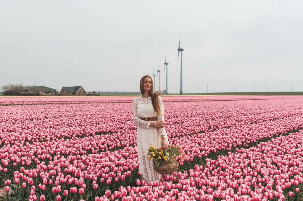 ConveyTheTravel's tweet photo. The prettiest tulip fields in Holland 💐🌿 https://t.co/0Mrozbg9sy https://t.co/Qt81WnigWI
