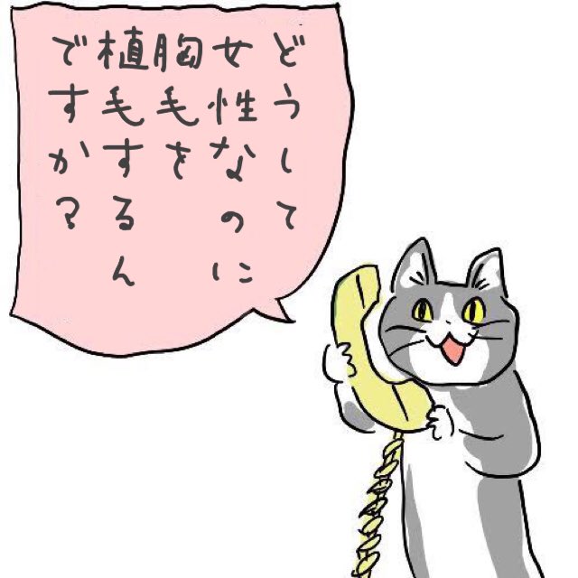現場猫で会話する