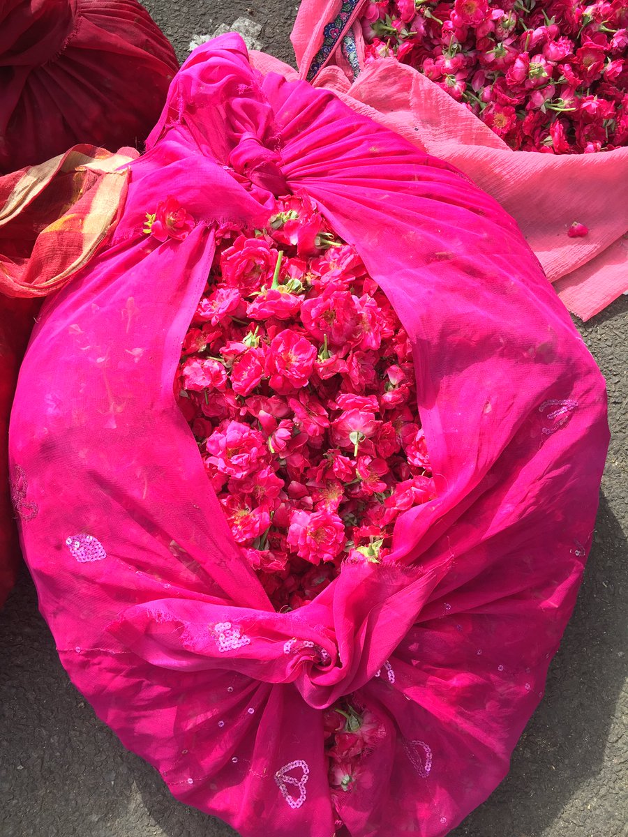 Lincoln Harris tweet media