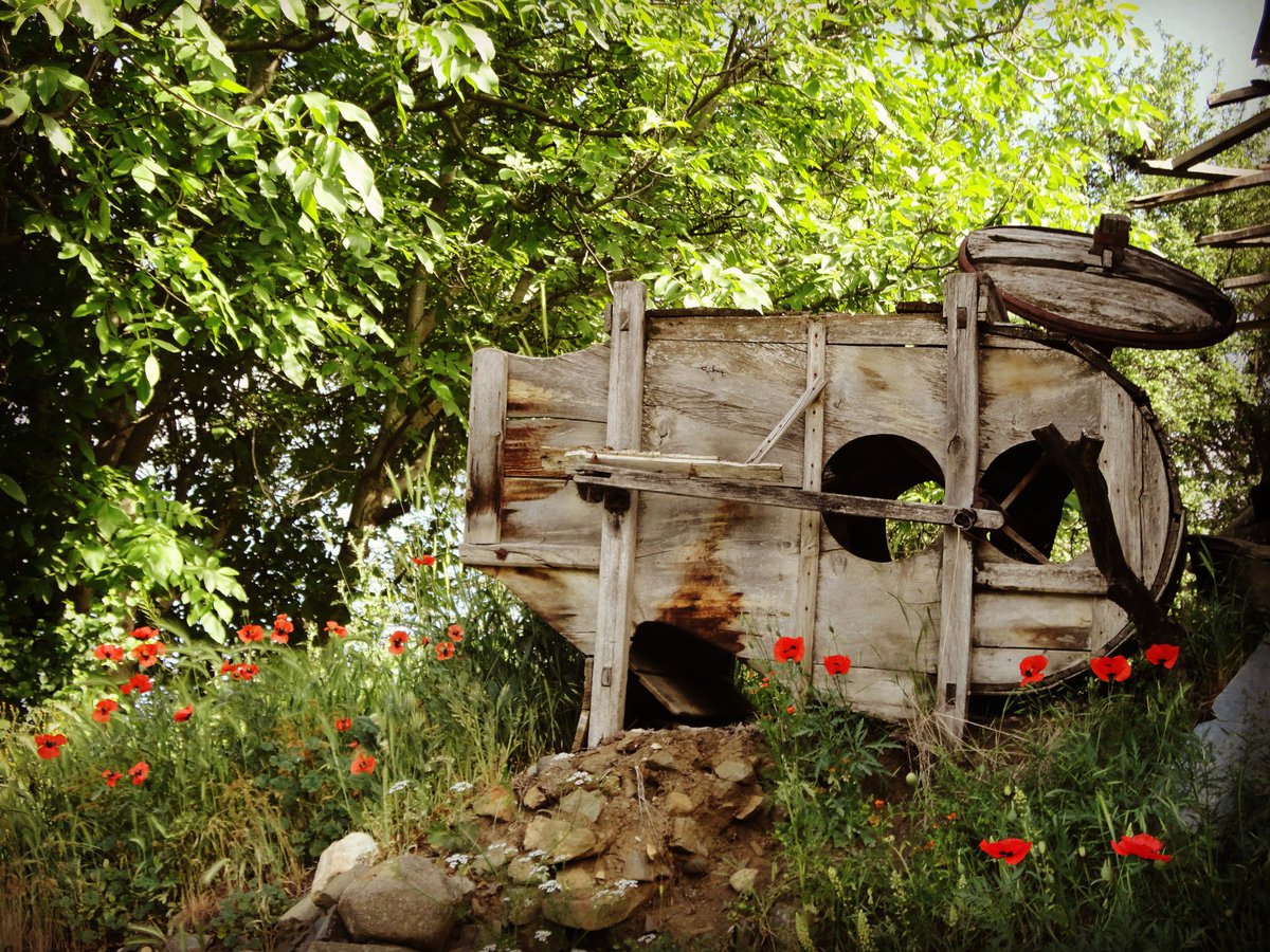 Kutluca köyü
Kaderine terkedilmiş tığ makinası