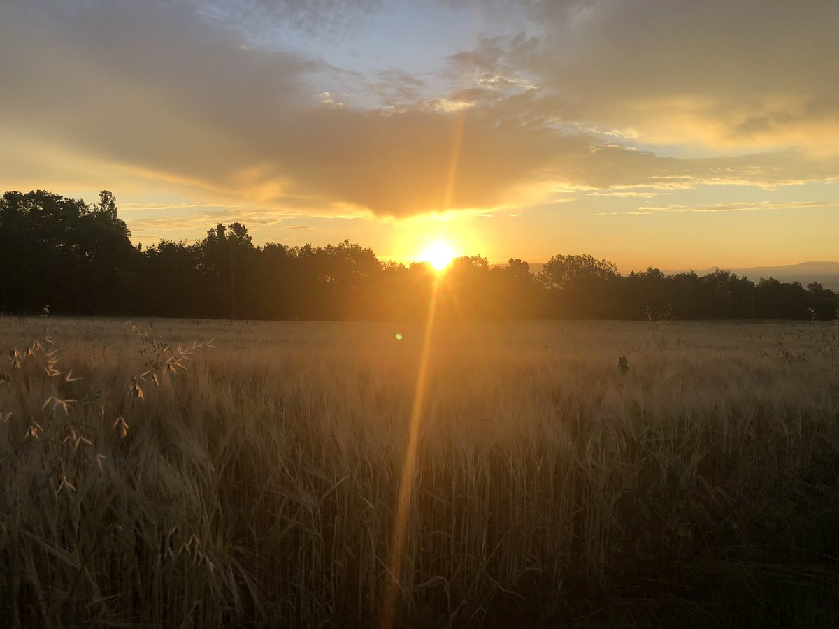 vagramuntflix's tweet image. #OJOALDATO 15 dias y entramos en una nueva dimension! @seidor #AnalyticsNext. Nos levantamos temprano para preparar tu viaje y guiarte hasta lo mas alto @SAPAnalytics #sapdatawarehousecloud