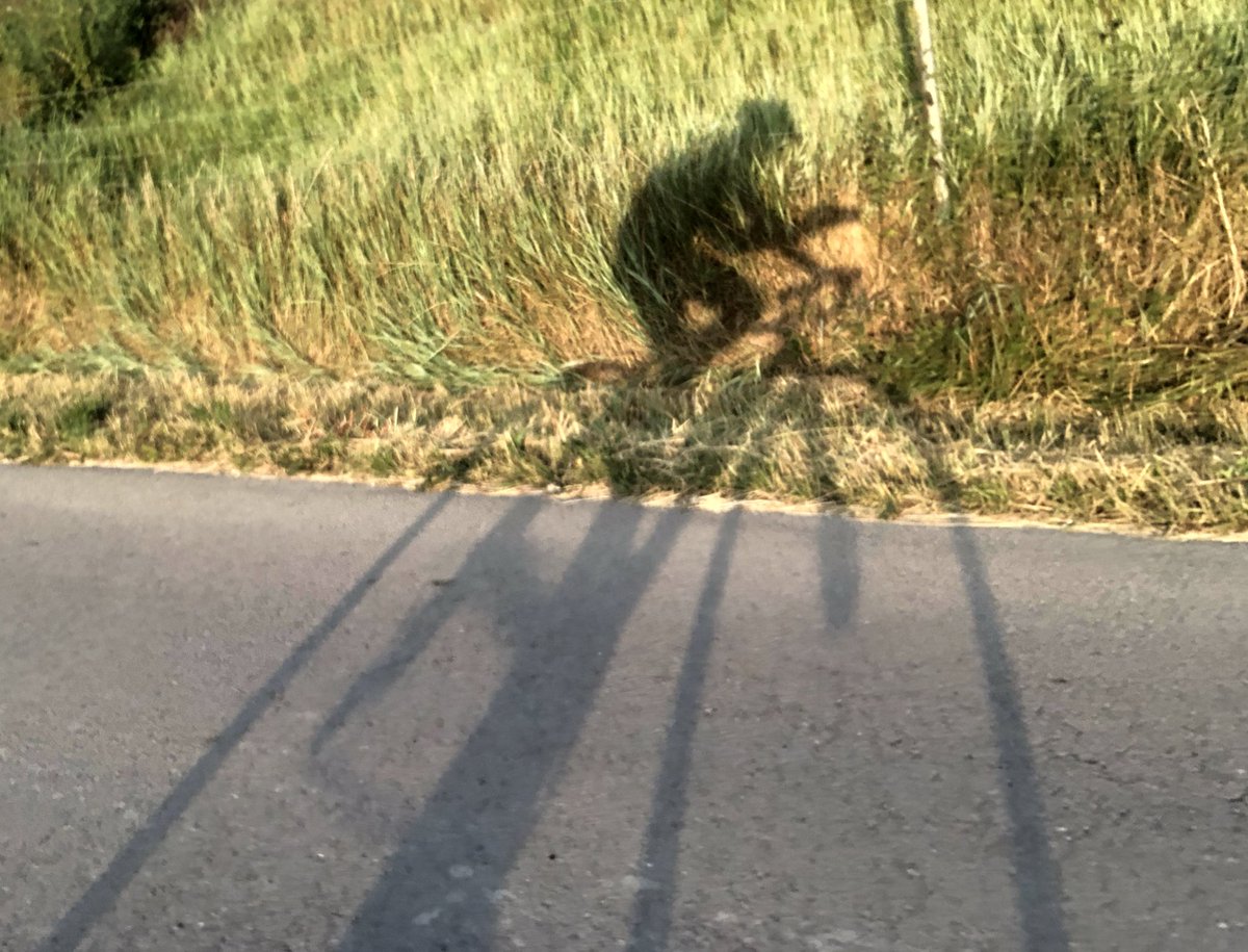 vagramuntflix's tweet image. #OJOALDATO 15 dias y entramos en una nueva dimension! @seidor #AnalyticsNext. Nos levantamos temprano para preparar tu viaje y guiarte hasta lo mas alto @SAPAnalytics #sapdatawarehousecloud