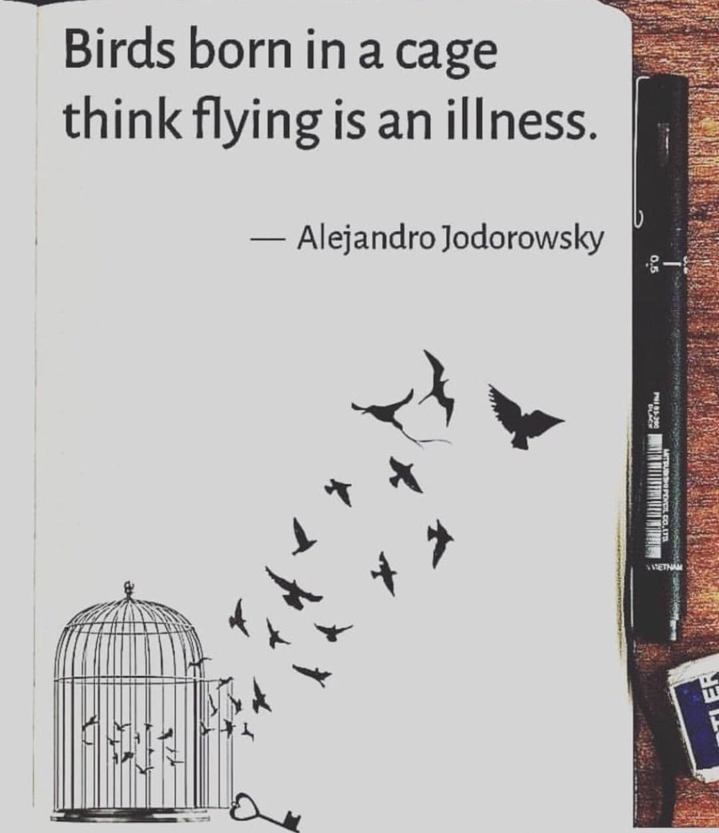 #narcissism #narcissistpersonalitydisorder #NarcissisticAbuse #Narcissist #narcs #narcissistmom #emotionalabuse #cptsd #mentalhealth #mentalhealthrecovery #mentalhealthrawareness #depression #anxiety  #freeingmyself #toxicrelations #narcissus #narcissisticmother