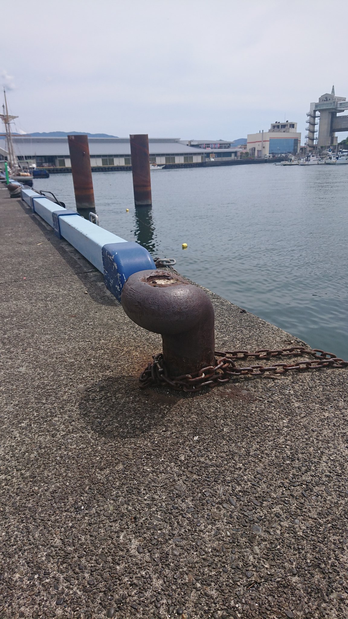 波止場立ち Twitter Search Twitter