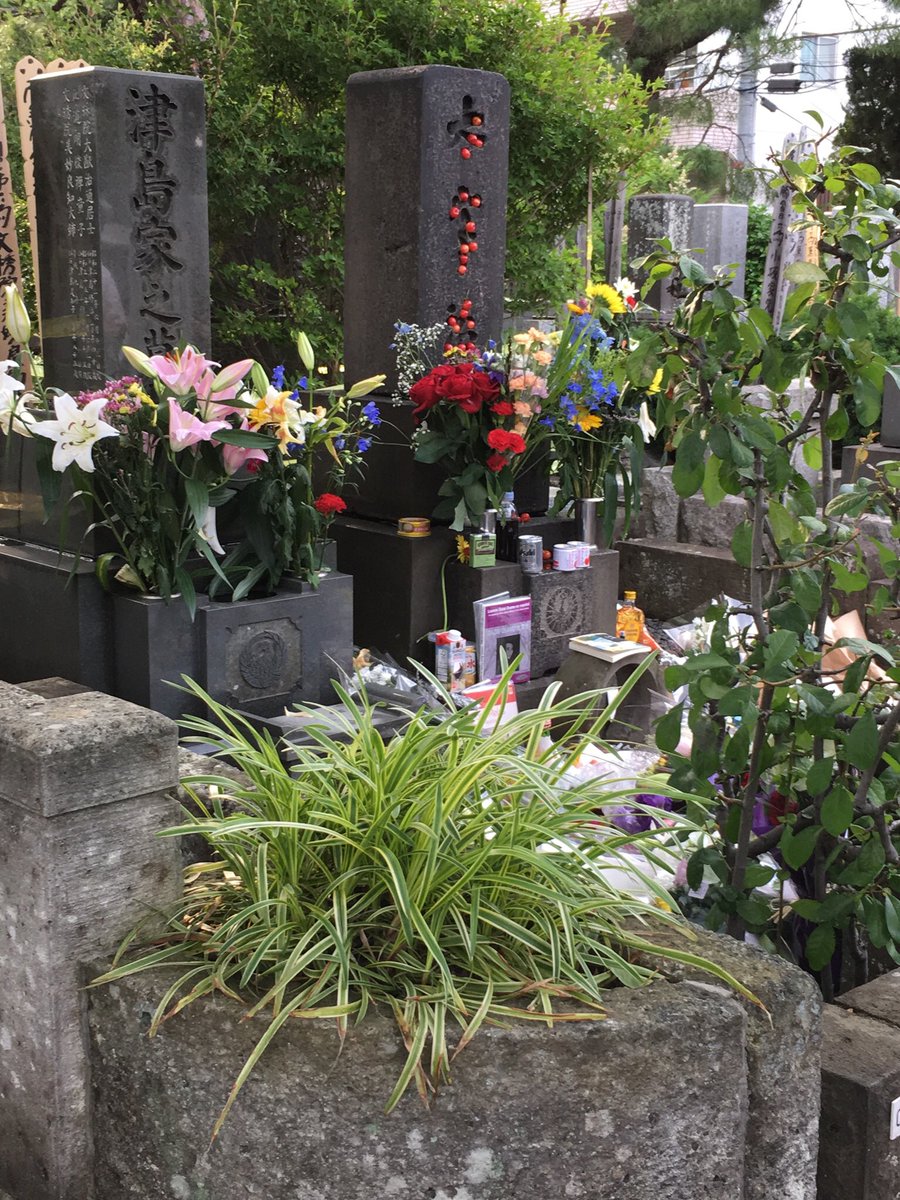 桜桃忌 さくらんぼで太宰治をしのぶ 桜桃忌 さくらんぼで太宰治をしのぶ
