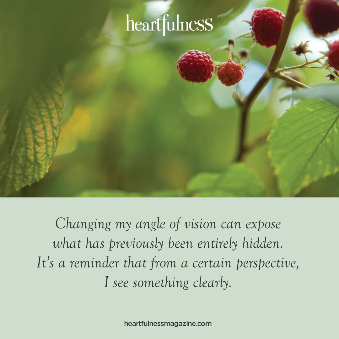 heartfulness's tweet photo. Alanda Greene explores the topic of perception in the latest edition of the Heartfulness Magazine. Read the complete article on: https://t.co/JY3VFxSd9k
#heartfulness #mindfulness #wellness #yoga #meditation #90daysofheartfulness #pereception #spirituality #lifestyle #wisdom https://t.co/JfGWquS752