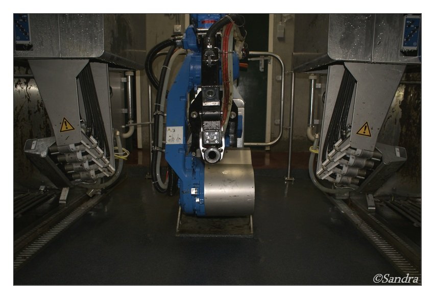 WatEddie's tweet image. 1)De #melkrobot die wij gebruiken heeft één robotarm die twee melkboxen bediend. Veel bezoekers hebben geen idee hoe zoiets werkt en dat is begrijpelijk, ik stond ook met mijn ogen te knipperen toen ik dit voor t eerst zag. 👇