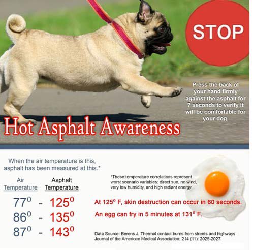 my mom sent this to me and it needs to be shared. do not walk your dogs in this heat!!