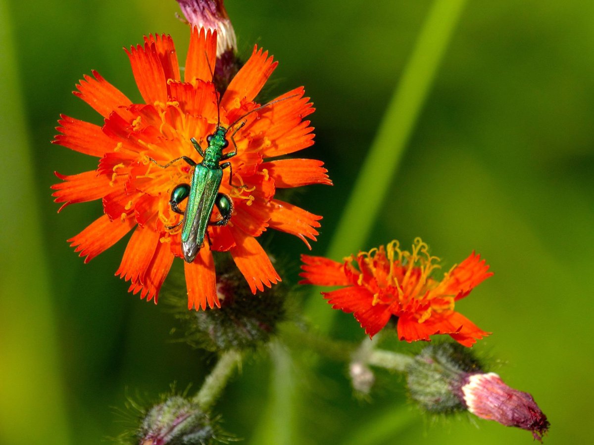 Dr Dan Danahar tweet media