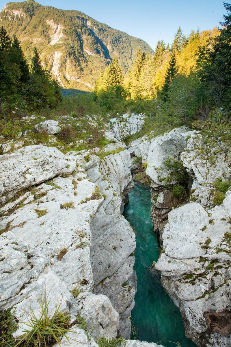 travel_slovenia's tweet photo. GREAT GORGE, #Slovenia - the most spectacular spot of the #Soca river is the Great Gorge, a 750m long, 15m deep and 2m wide gorge with the #beautiful emerald green shade of the water (p: Ales Zdesar, Daniel Tomanovic, Miroslav Asanin, Boris Pretnar #photography) #nature #travel https://t.co/uRU1Myeuzk