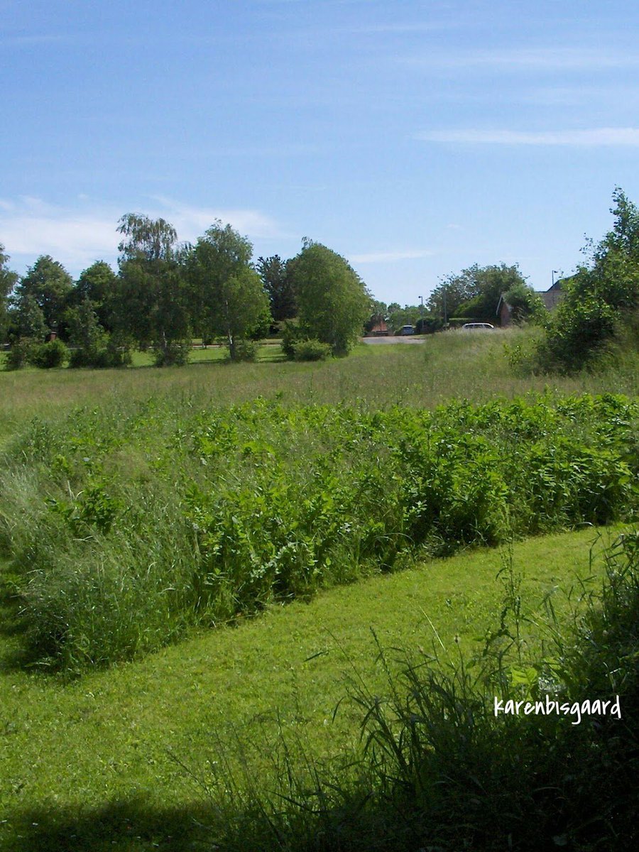 KarenBisgaard1's tweet image. karensnaturephotography.blogspot.com/2019/06/view-t…
#commonarea #greenarea