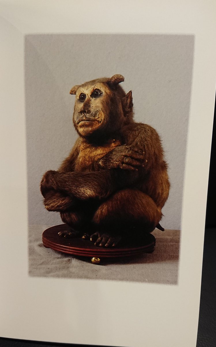 書肆ゲンシシャ 幻視者の集い على تويتر 万国怪物大博覧会 日本やヨーロッパの鬼 人魚 河童 ツチノコ バジリスク ろくろ首 天狗など 実在するかあやしい怪物たちの標本を写真付きで解説 紹介した奇書 可愛らしいものからグロテスクなものまで 怪物の