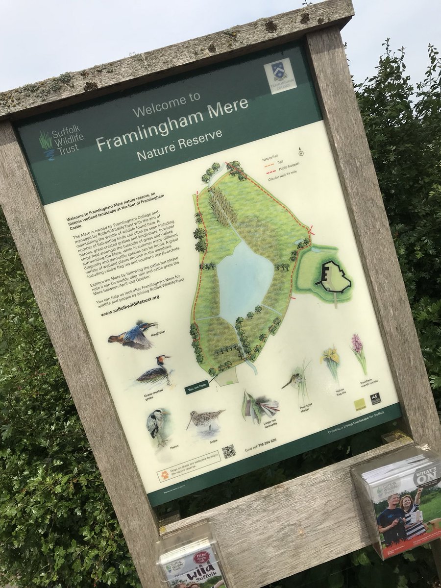 SWTlearningteam's tweet image. Wild Learning Officer, Lauren, is out this week on the Framlingham Mere Nature Reserve. If your school or youth group would be interested in a FREE educational visit to the site, please send us a DM and we will put you in touch with her!