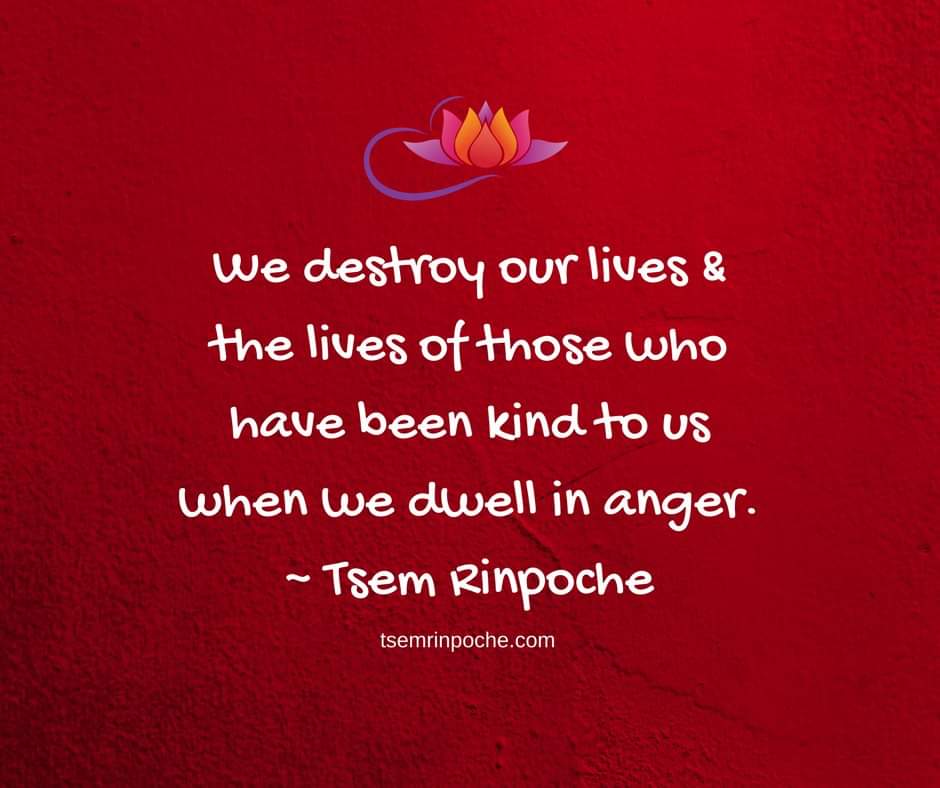 tsemrinpoche.com
#lnspirationalquote
#quoteoftheday
#quotestoliveby
#QOTD
#inspiringthefuture
#PositiveVibesOnly
#PositiveLiving
#TsemRinpoche
#positivethinking
#Positivevibes
#positivity
#KindnesslnAction
#KindnessMatters
#positiveimpact
#Compassion