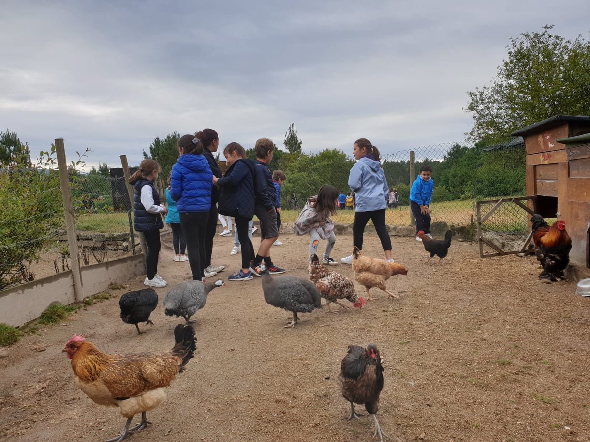 maristasourense's tweet image. Y los de 1EP y 2EP nos fuimos a la Granxa Acougo! #ExcursionesFindecurso #SomosMaristas