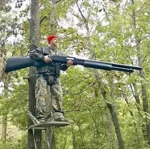 AnitaGeenWolf's tweet photo. Kick new nature outa this country, @kotterbospad kruizing praamweg 😡 nothing has changed here, them killertrees are stil there @staatsbosbeheer https://t.co/W7TKiipf33
