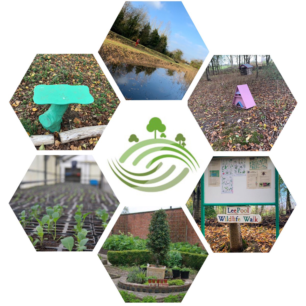 A great hard working day for the <a href="/MoJGovUK/">Ministry of Justice</a> people change group and <a href="/BeaJFinch/">Beatrice Finch</a> working with residents and staff for their volunteer day on our Lee Pool conservation area  - thanks for all your hard work guys 🌟