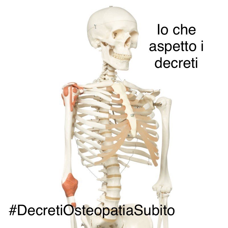 #DecretiOsteopatiaSubito #osteopatiriconosciuti #NoIngerenze #NonSullaNostraPelle solo #Osteopatia x i #Cittadini 

<a href="/GiuliaGrilloM5S/">Giulia Grillo</a> <a href="/luigidimaio/">Luigi Di Maio</a> <a href="/matteosalvinimi/">Matteo Salvini</a> <a href="/MinisteroSalute/">Ministero della Salute</a> <a href="/fattoquotidiano/">Il Fatto Quotidiano</a> <a href="/Corriere_Salute/">Corriere.it Salute</a> <a href="/repubblica/">Repubblica</a> <a href="/LaVeritaWeb/">La Verità</a> <a href="/Agenzia_Ansa/">Agenzia ANSA</a> <a href="/ilfoglio_it/">Il Foglio</a>
