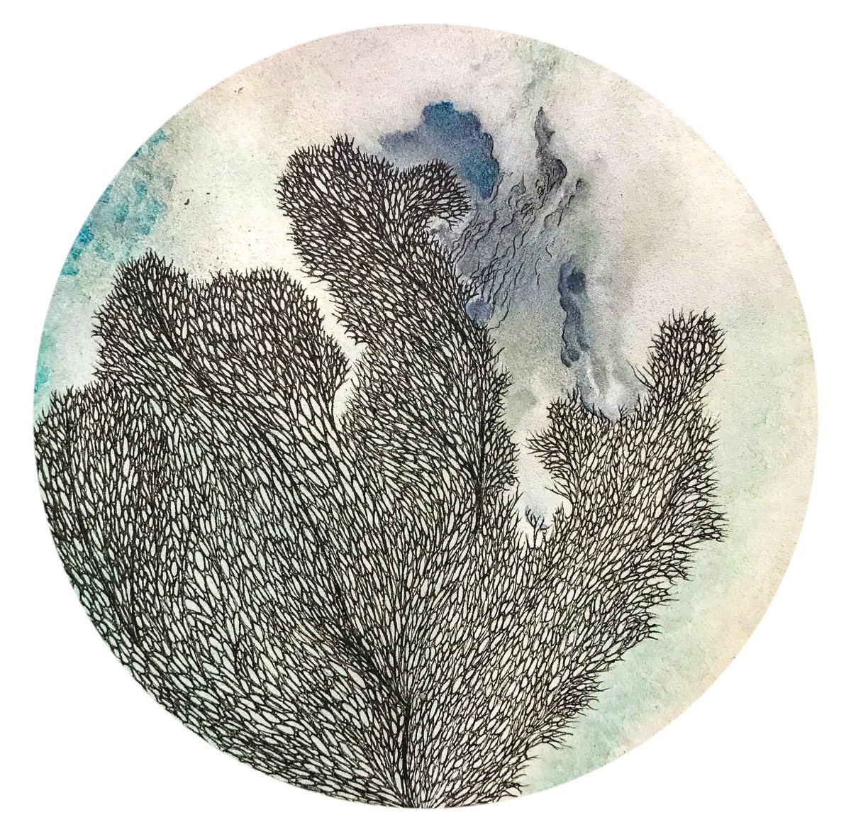 KateGravett's tweet photo. Working on a mini marine experiment/project. Few more drawings to go. 
Acrylic ink, saltwater, fine liner pen and colour pencil.
#drawing #marinelife #contemporaryart @CambDrawingSoc @CambOpenArt @camcrenet https://t.co/MsUzFE9932