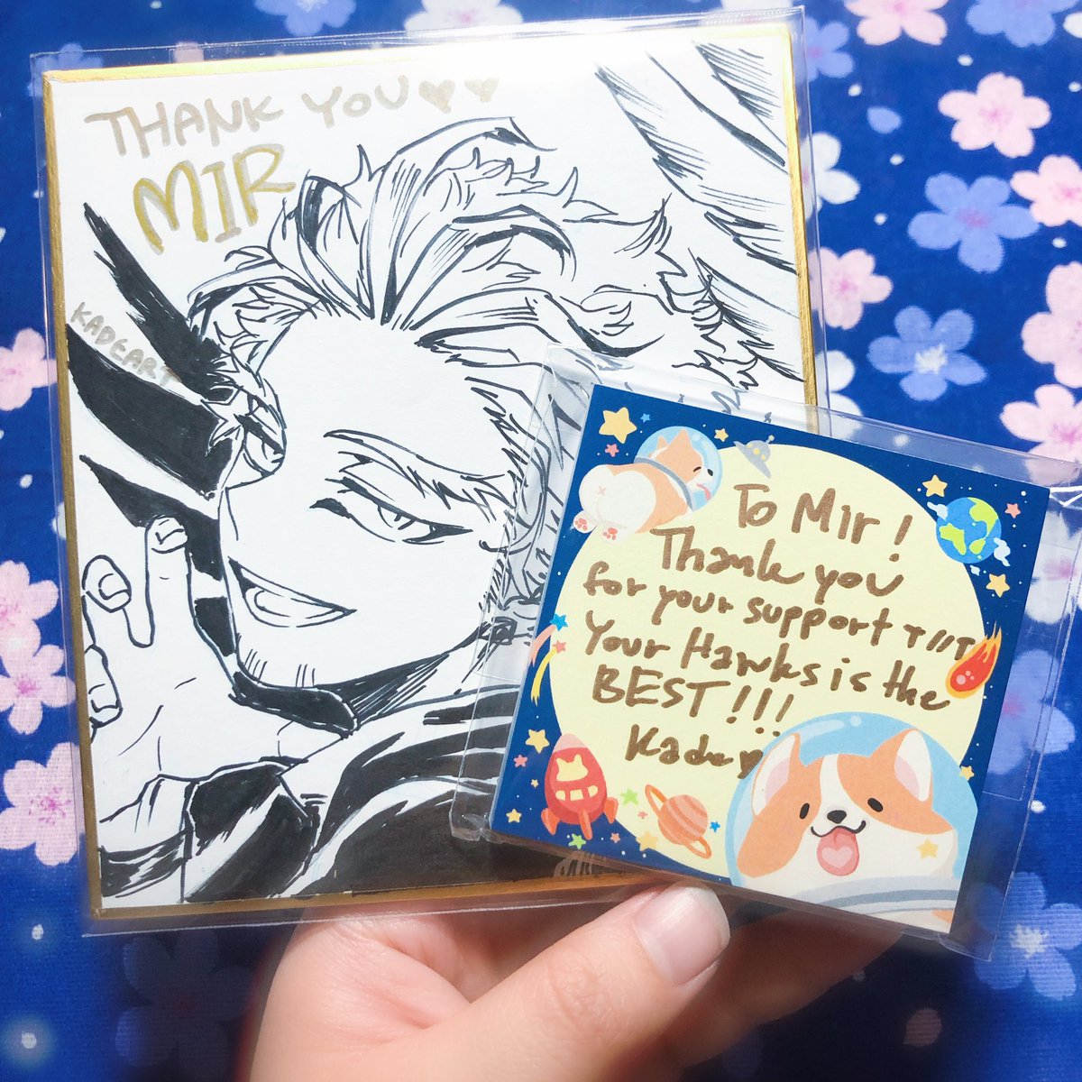 hello im here to scream about/at @kadeart for ALL OF THESE BEAUTIFUL HAWKS?????? IM IN LOVE AAAA!!!! ALSO THANK U FOR THE AMAZING BOARD DRAWING AND CORGI NOTES????? i need a good place to display them omg ?????? 
