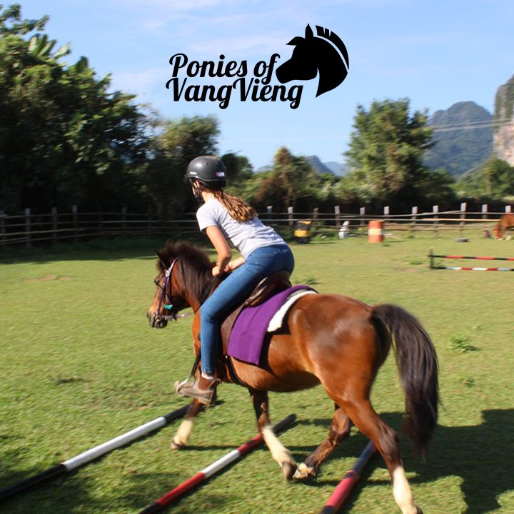 CrossingHotel's tweet photo. For pony rides for the kids, check out our partners at Ponies of Vang Vieng. They're fleet of friendly, trained ponies are sure to put smiles on everyone's faces! 

#vangvieng #explore #adventure #ponies #laos https://t.co/t5CKIk5SRu