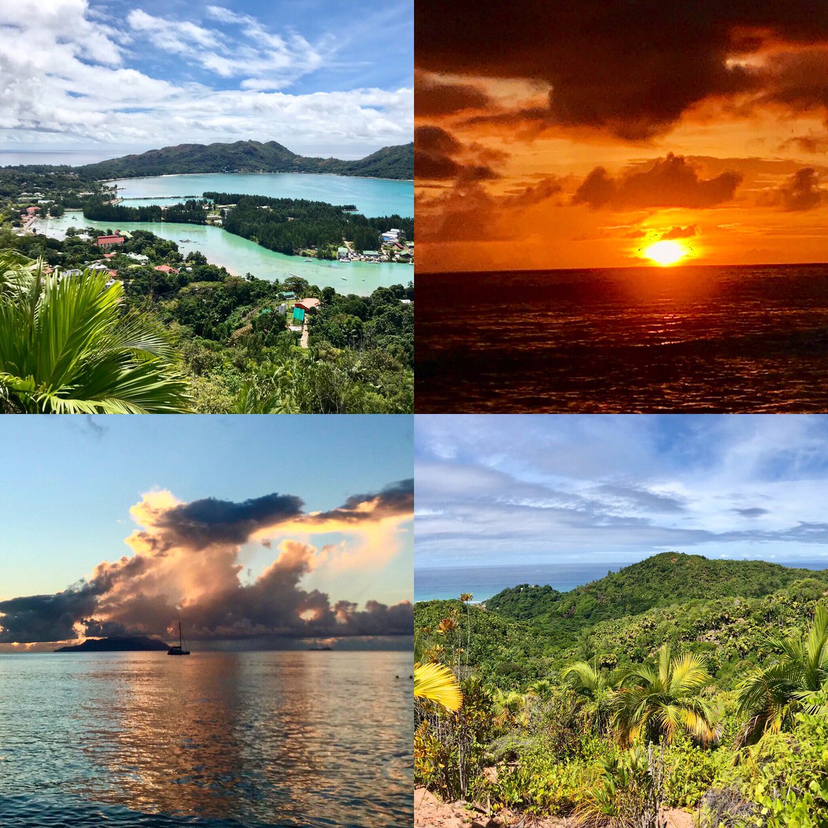 traveler_budget's tweet photo. Colors of #Seychelles #travel #Praslin #Mahe #sunset #Seychellessunset #fordferdinandreserve #BeauVallon #beach https://t.co/uoGLJQEE2E