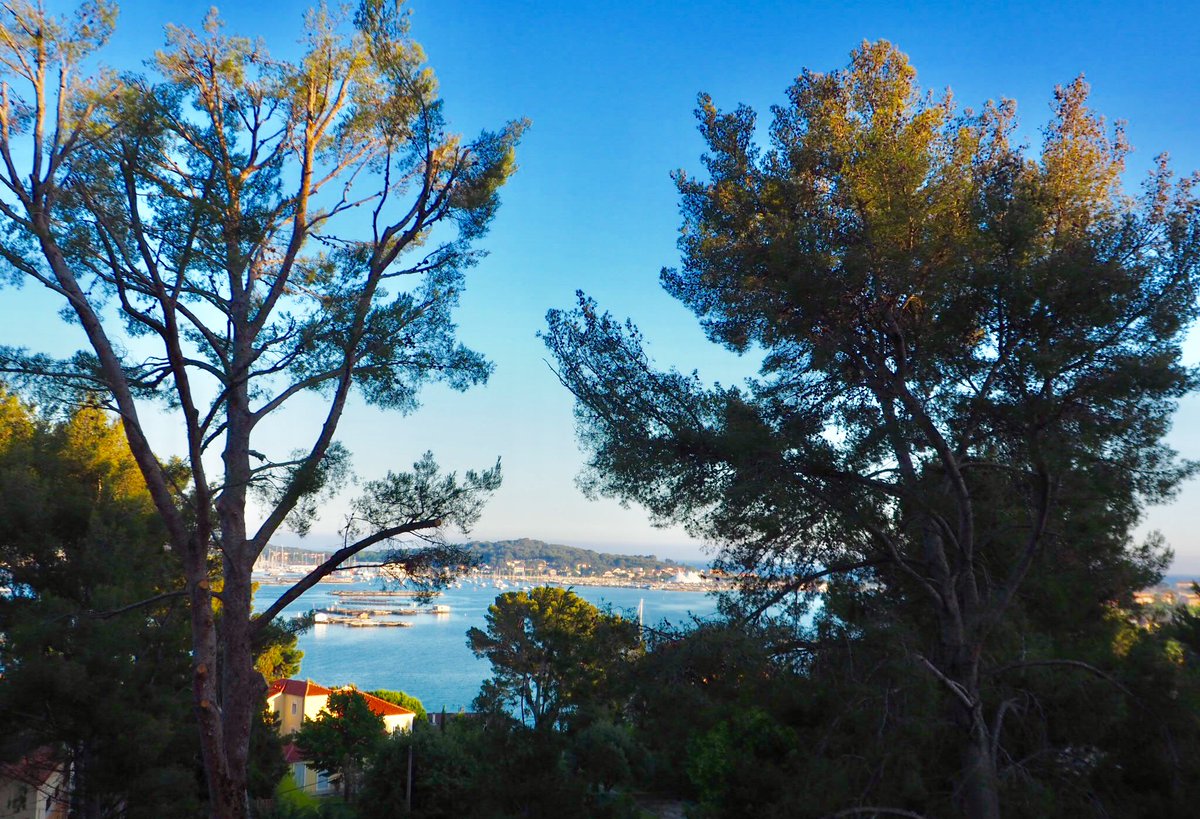 STePSAS's tweet image. La météo est au beau fixe chez Step AT !

Nous avons été sélectionné hier soir pour intégrer le programme &quot;Creative Starter&quot; 🏅

Merci à la @VillaTamaris pour l’accueil ainsi qu&apos;à @TVT_Innovation et @LPortDCreateurs 

Retour en images sur cette belle soirée estivale 😎