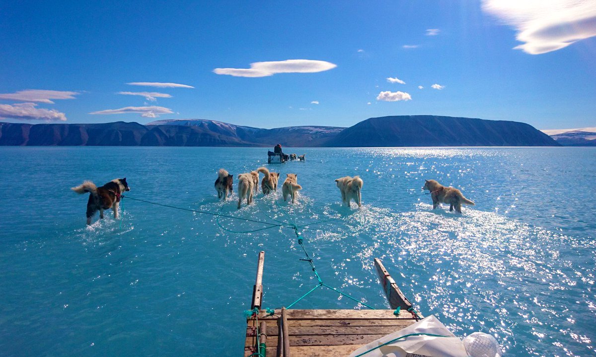 14 de junio de 2019. Groenlandia. Foto de <a href="/SteffenMalskaer/">Steffen M. Olsen</a>