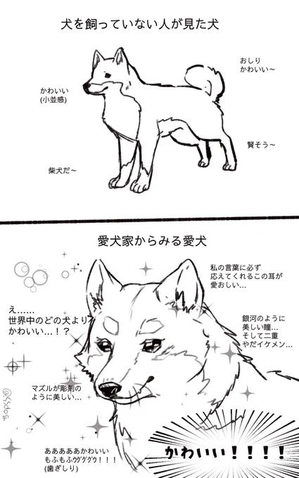 犬飼ったことない人と愛犬家にはこれぐらいの違いがあると思うんだ 