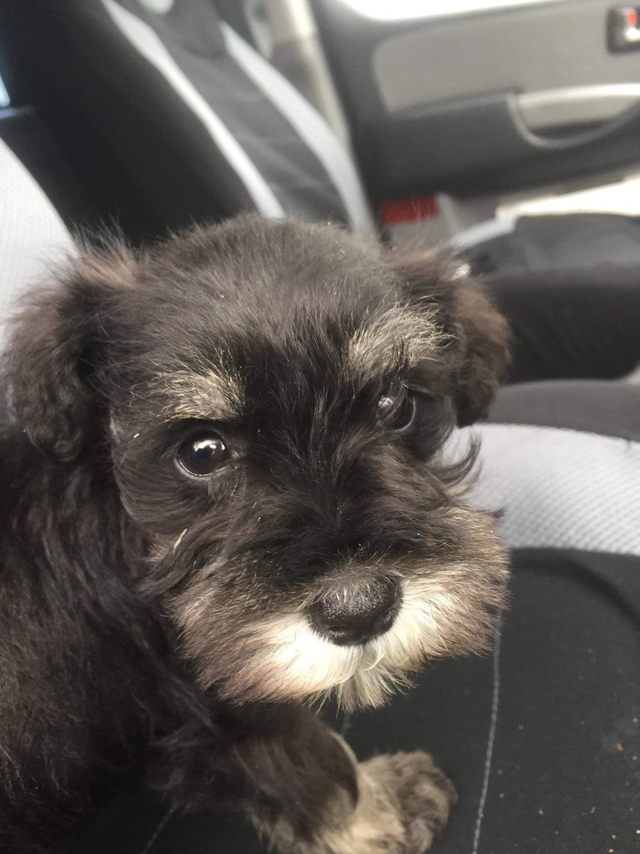 Pippa Quelch tweet media