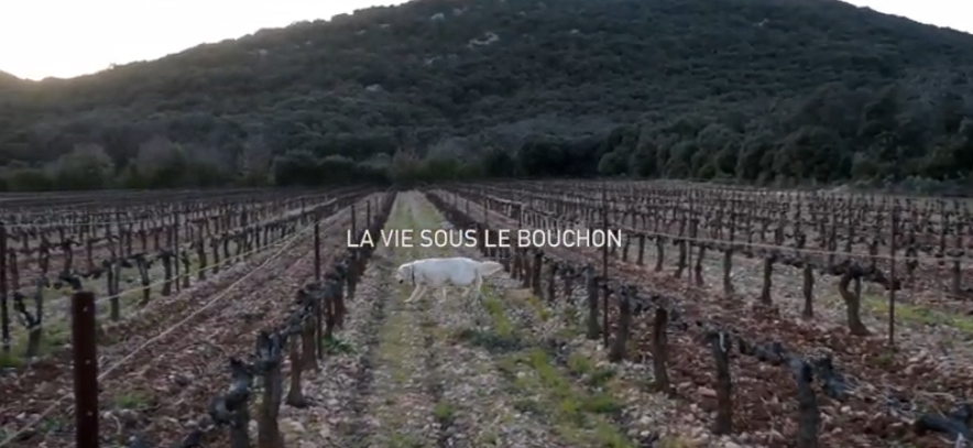 vinetsociete's tweet photo. Félicitations à Serena Porcher-Carli et Vincent Zanetto, lauréats du #labvinY pour "La vie sous le bouchon" qui a remporté le Prix du meilleur film destiné aux professionnels à l'occasion du Festival International de films sur la #vigne et le #vin ! https://t.co/z3hPRxb6N4 https://t.co/r7u222N9Kd